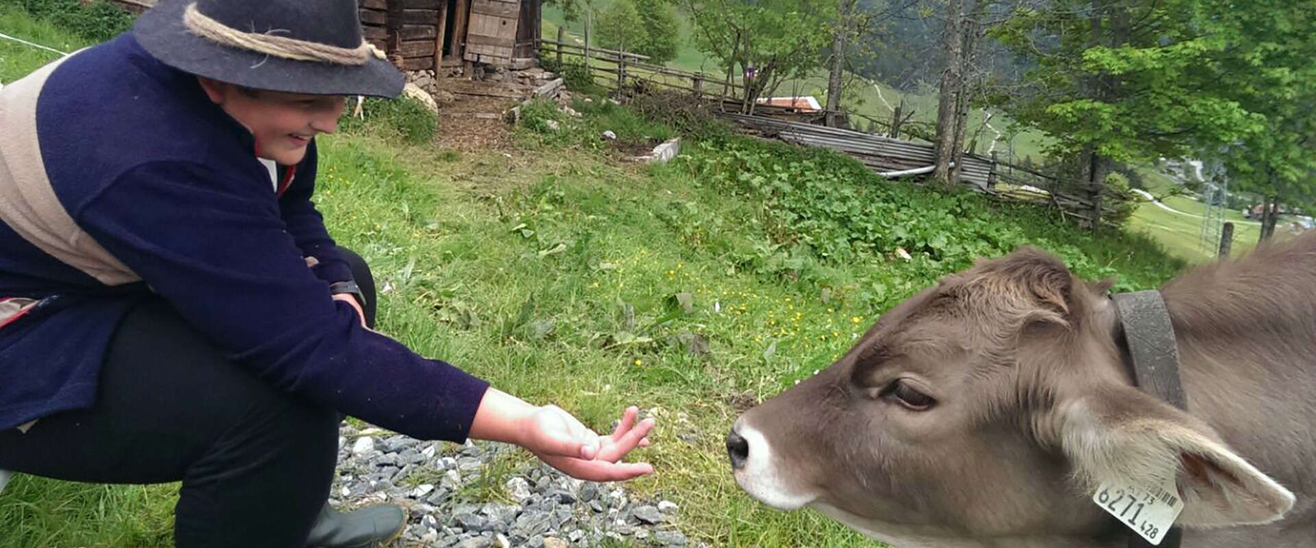 In Zillertal das Landleben erleben und Kühe streicheln